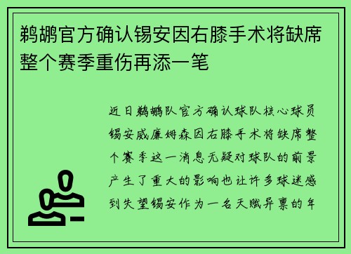 鹈鹕官方确认锡安因右膝手术将缺席整个赛季重伤再添一笔